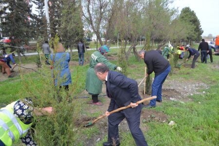 Mingəçevirdə təmizlik və yaşıllaşdırma məqsədi ilə iməcilik keçirilib-FOTOLAR